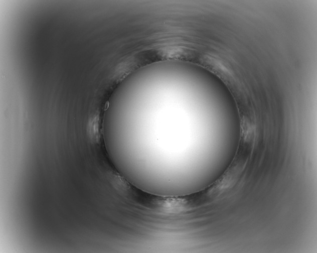 X0000089400670200706221118