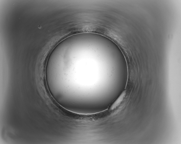 X0000089400673200706221118