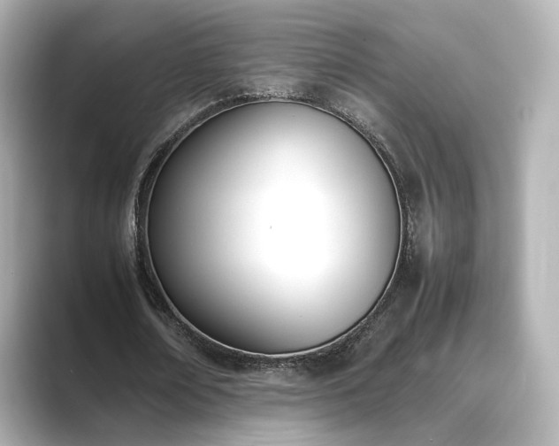 X0000089400674200706221118