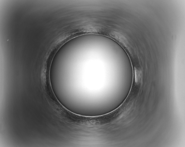 X0000089400675200706221118