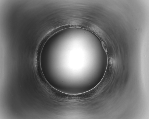 X0000089400676200706221118