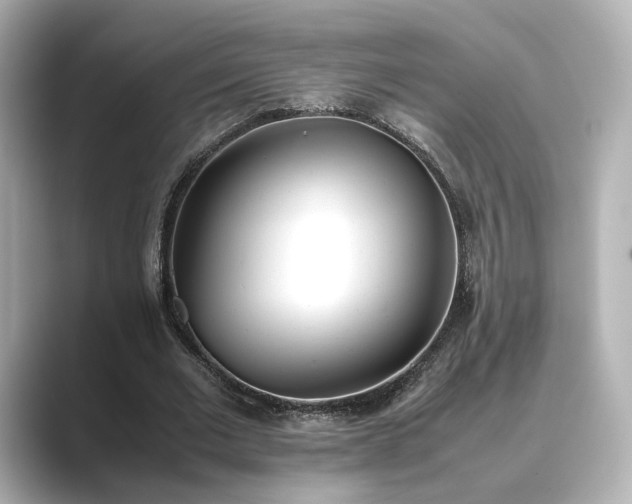 X0000089400677200706221118