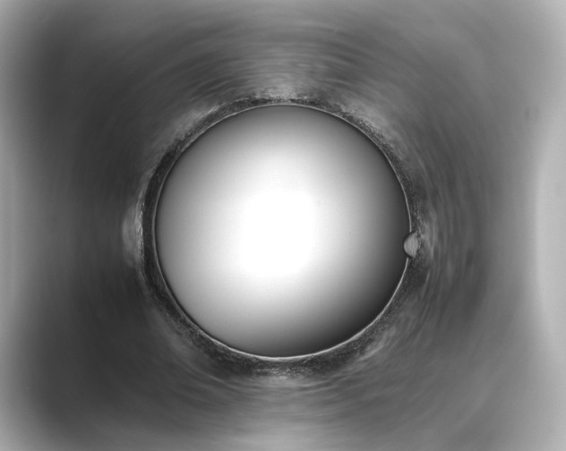 X0000089400678200706221118