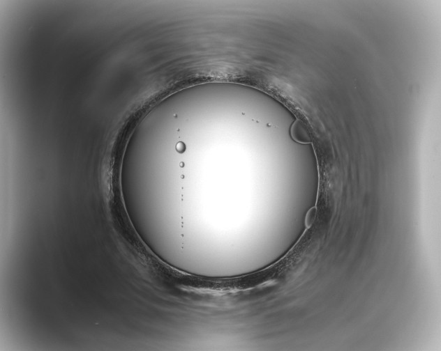 X0000089400679200706221118