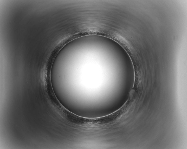 X0000089400680200706221118