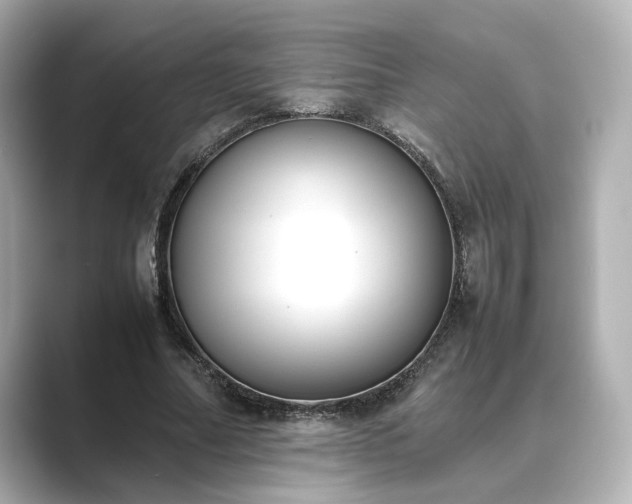 X0000089400682200706221118