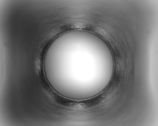 X0000089400683200706221118