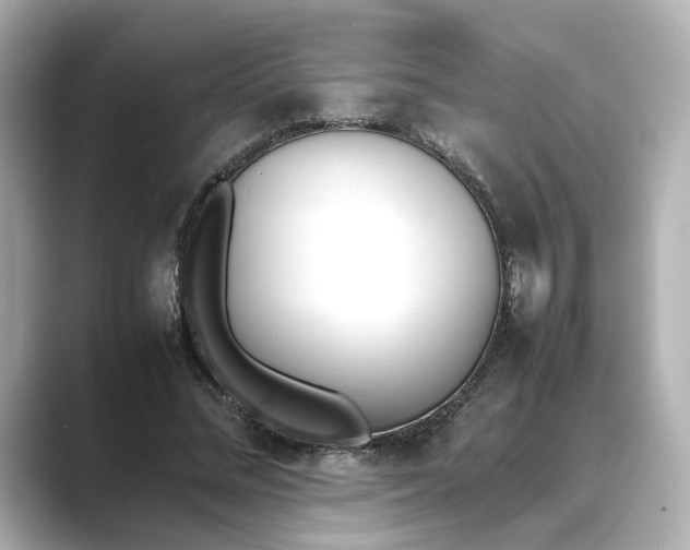 X0000089400684200706221118