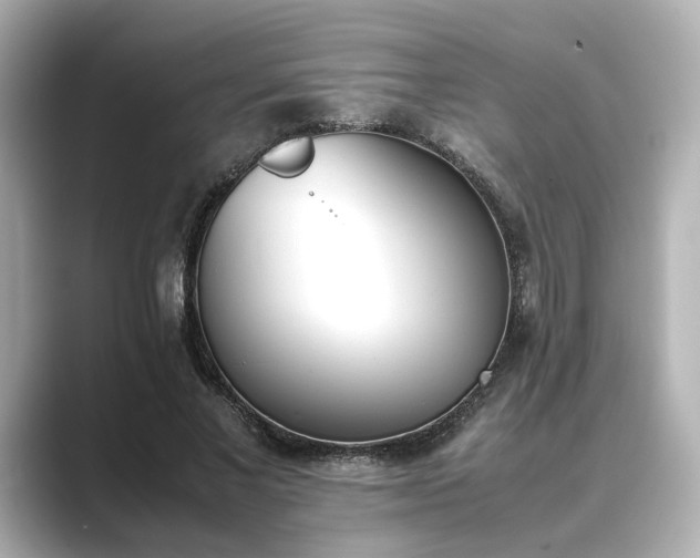 X0000089400685200706221118