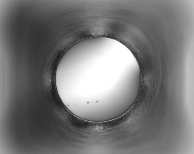 X0000089400687200706221118