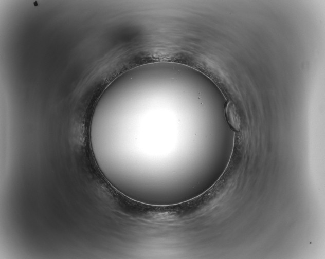 X0000089400689200706221118