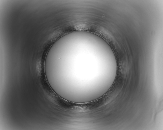 X0000089400690200706221118