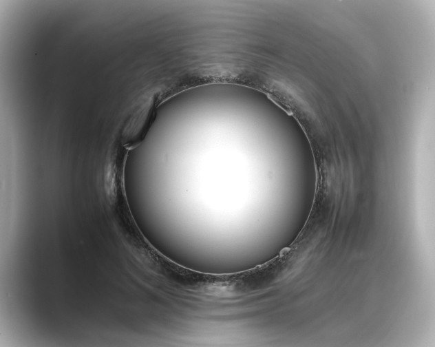 X0000089400692200706221118