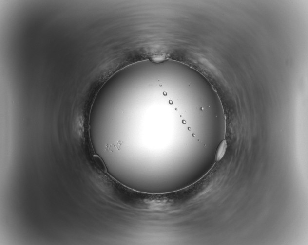 X0000089400693200706221118