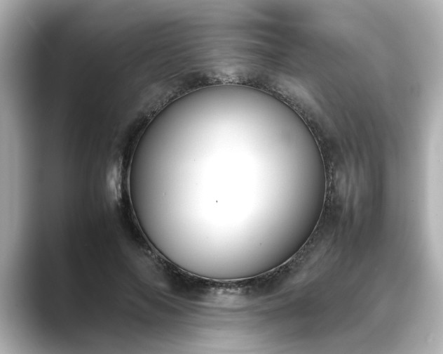 X0000089400694200706221118