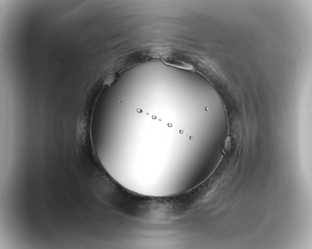 X0000089400697200706221118