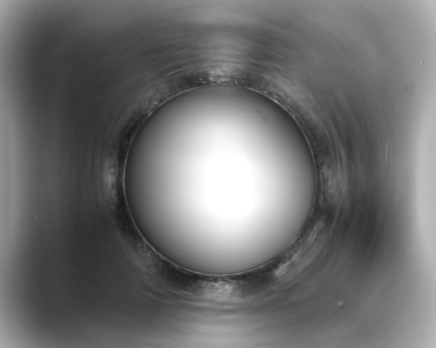 X0000089400698200706221118