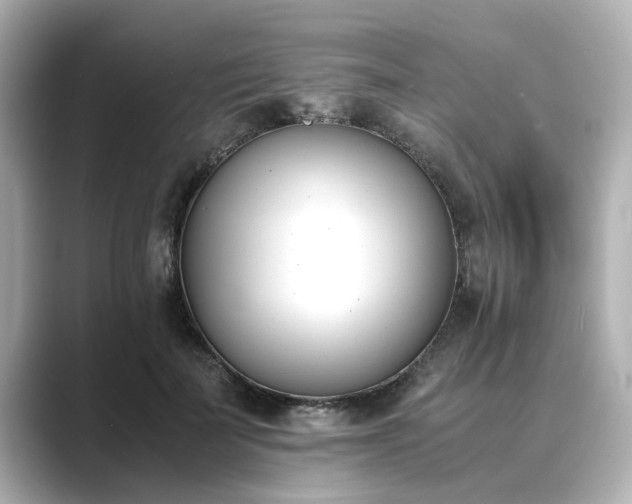 X0000089400699200706221117