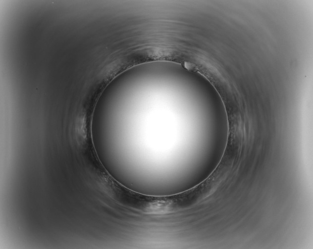 X0000089400700200706221117