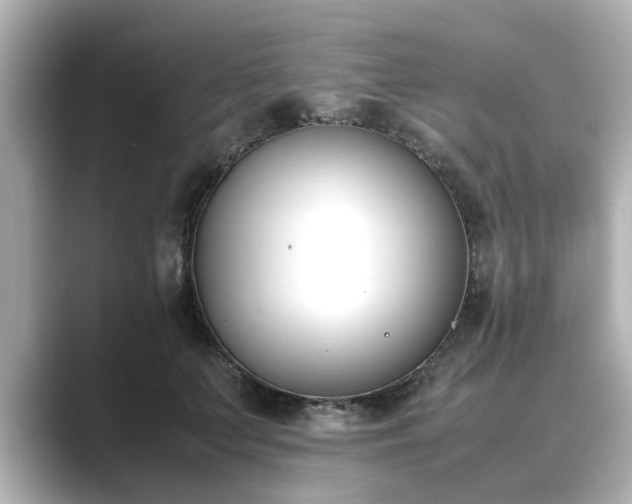 X0000089400703200706221117