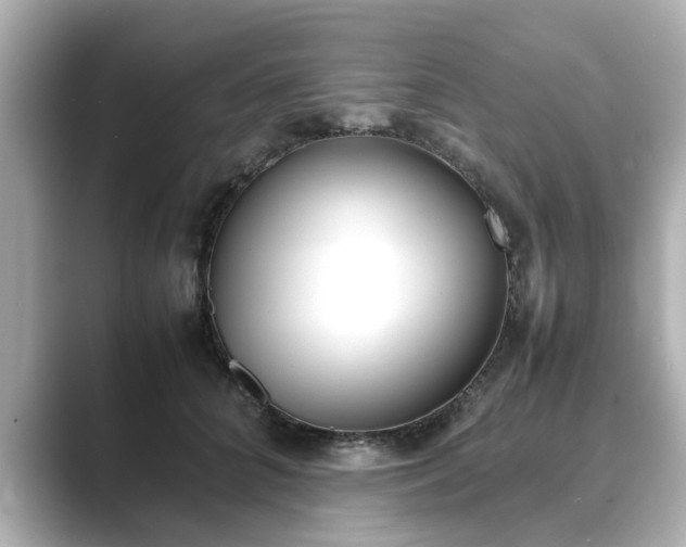 X0000089400704200706221117