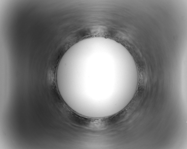 X0000089400705200706221117