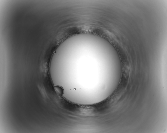 X0000089400707200706221117