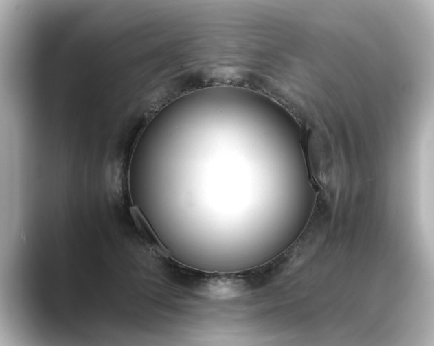 X0000089400708200706221117