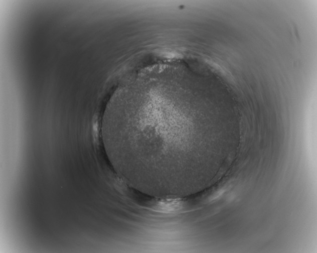 X0000089400720200706221117