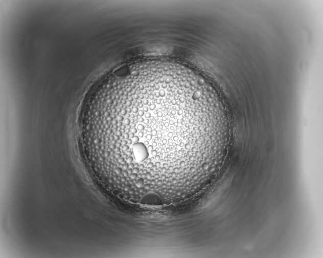 X0000089400721200706221117