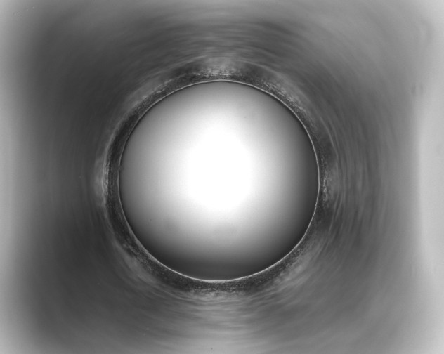 X0000089400722200706221117