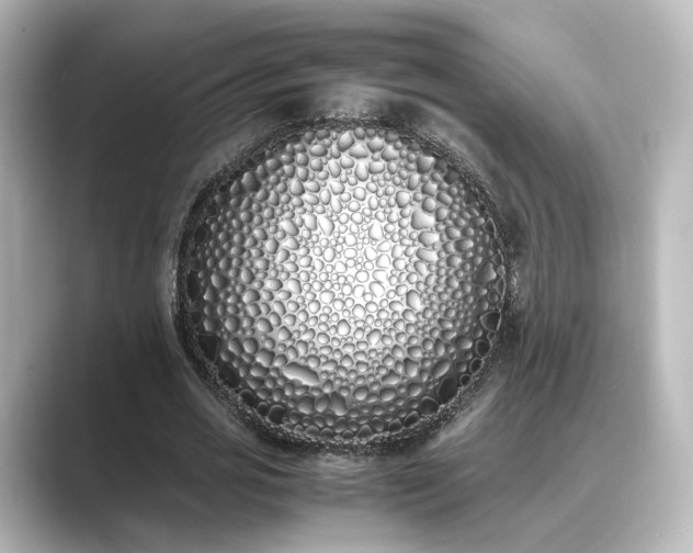 X0000089400725200706221117