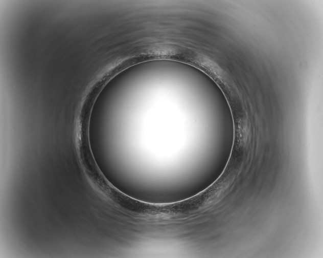 X0000089400726200706221117