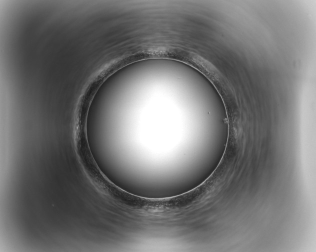 X0000089400728200706221117