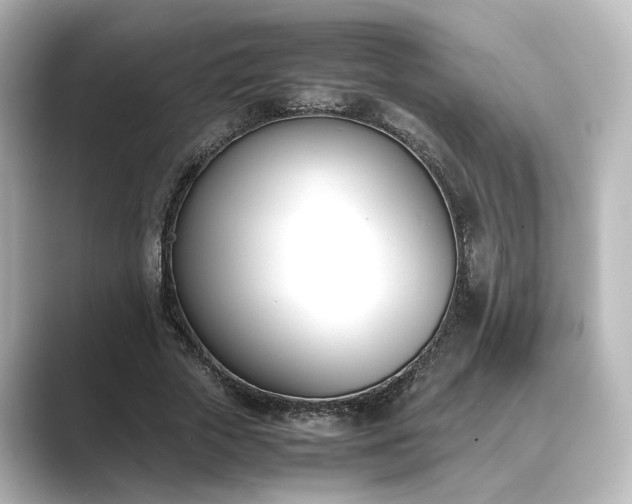 X0000089400729200706221117