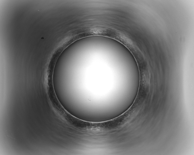 X0000089400730200706221117