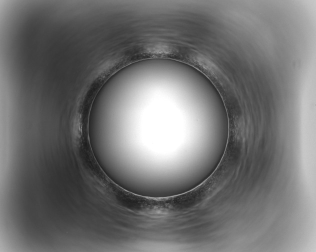 X0000089400731200706221117