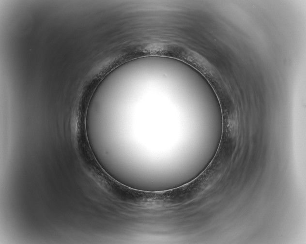 X0000089400732200706221117