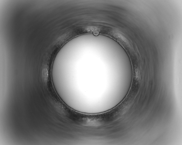 X0000089400733200706221117