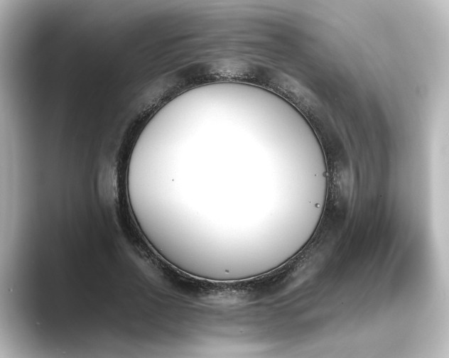 X0000089400734200706221117