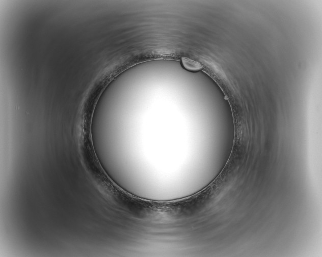 X0000089400736200706221117