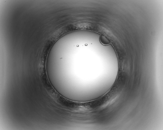 X0000089400737200706221117