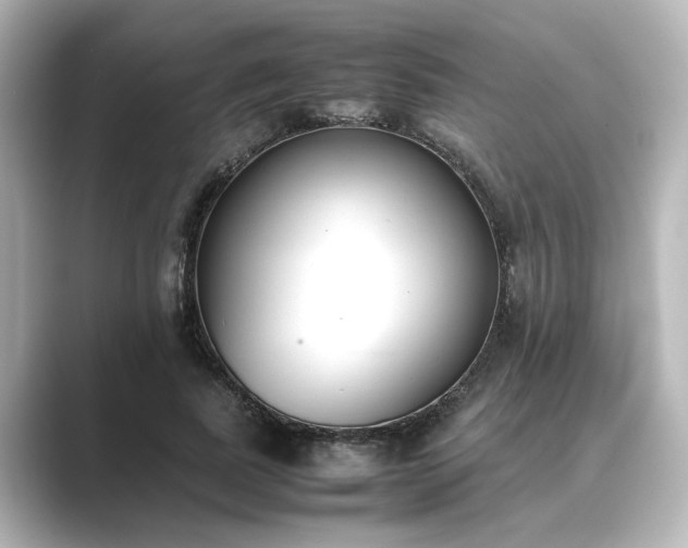 X0000089400739200706221117