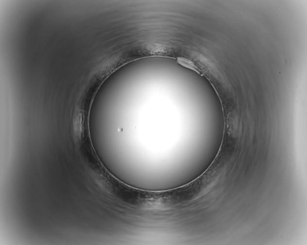 X0000089400740200706221117