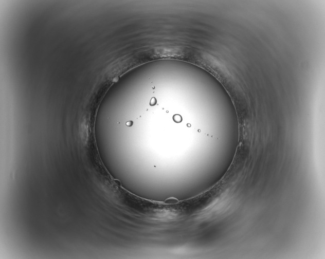 X0000089400741200706221117