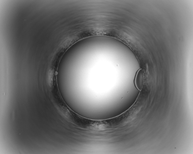 X0000089400742200706221117