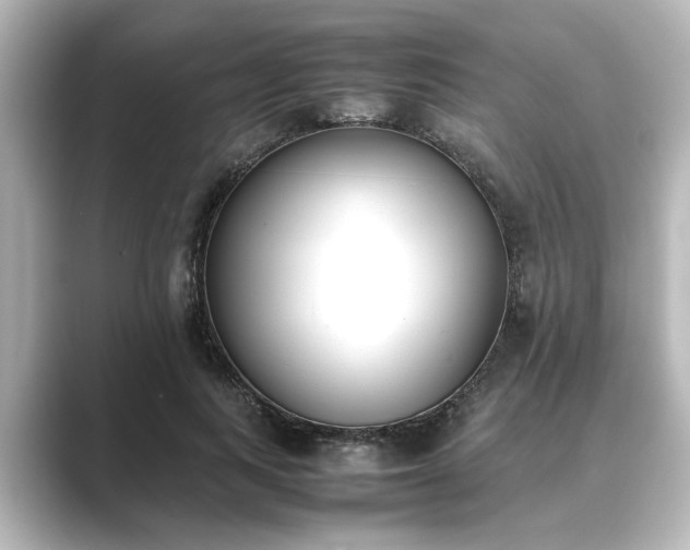 X0000089400743200706221117