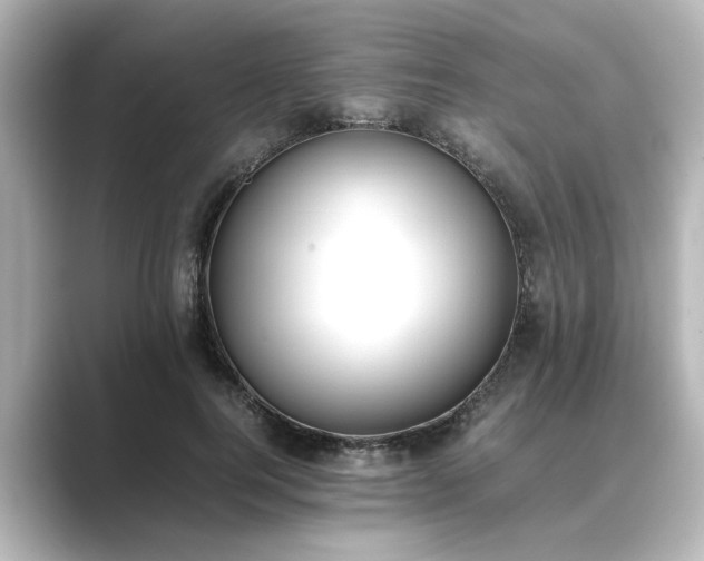 X0000089400744200706221117