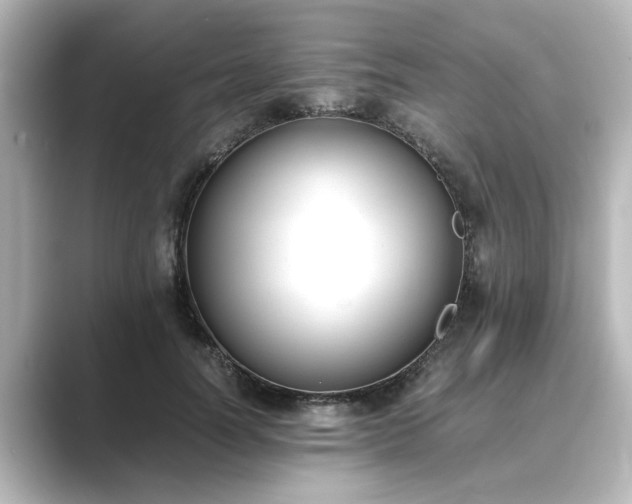 X0000089400746200706221117