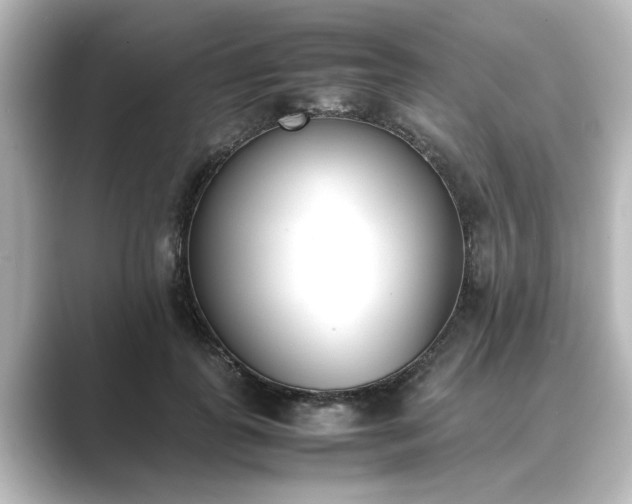 X0000089400747200706221117